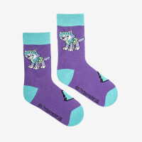 SOCKS Paw Patrol Everest Socks