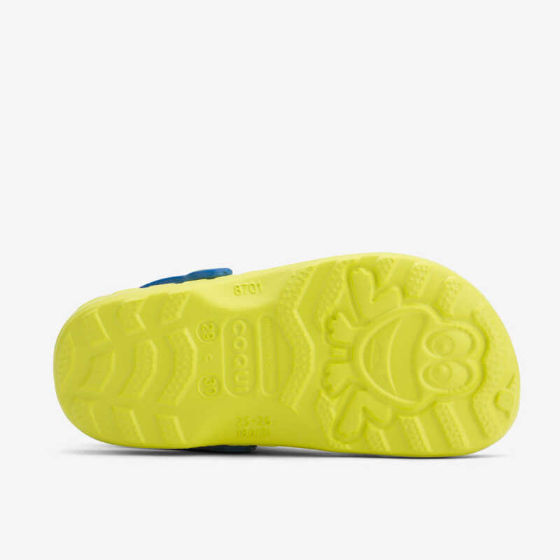 LITTLE FROG Citrus/Royal