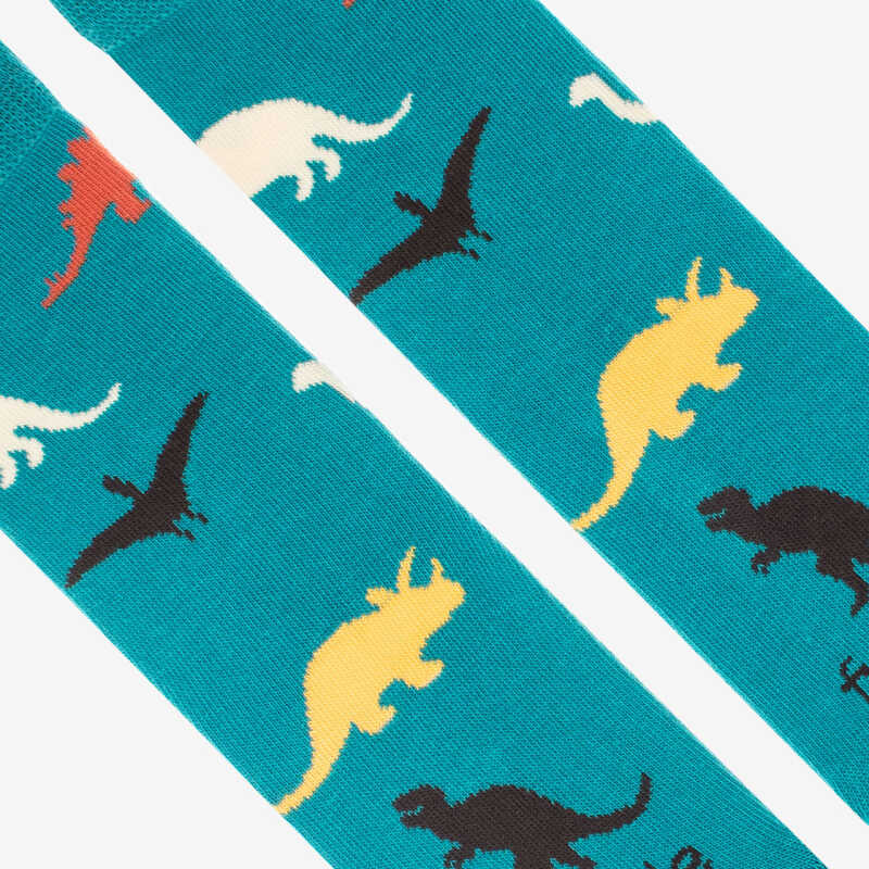 SOCKS Detské Dinosaury